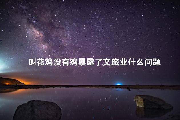 叫花鸡没有鸡暴露了文旅业什么问题