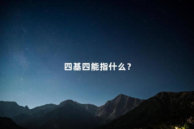 四基四能指什么？