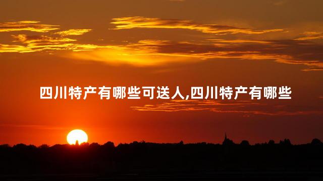 四川特产有哪些可送人
