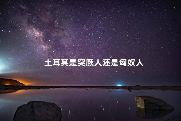 土耳其是突厥人还是匈奴人