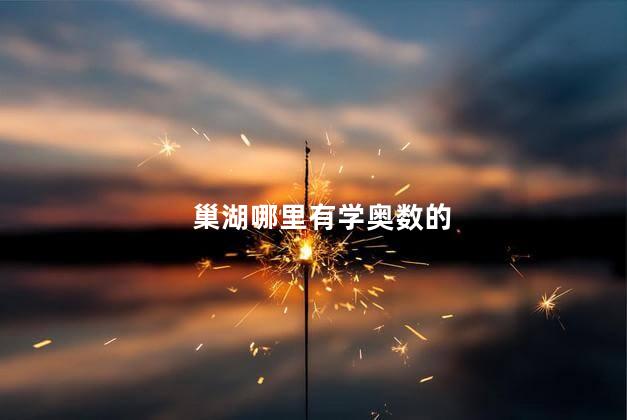 巢湖哪里有学奥数的