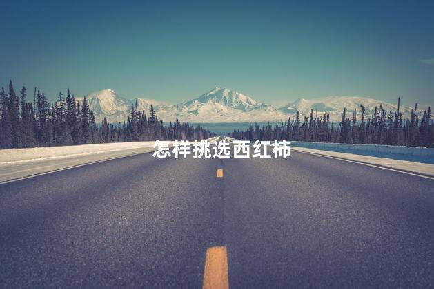 怎样挑选西红柿 怎样挑选西红柿