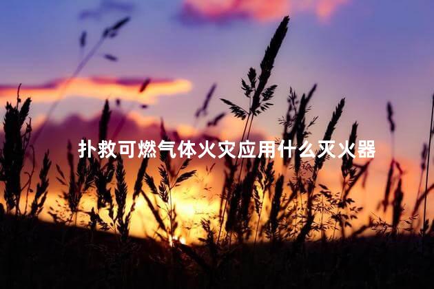 扑救可燃气体火灾应用什么灭火器