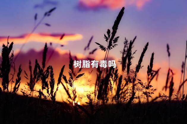 树脂有毒吗