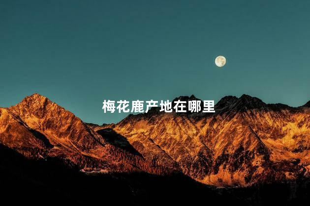 梅花鹿产地在哪里