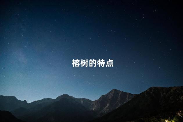 榕树的特点