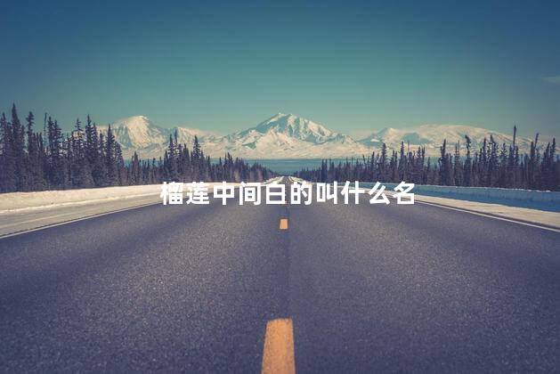 榴莲中间白的叫什么名