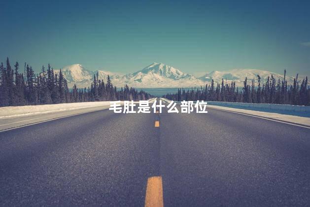 毛肚是什么部位