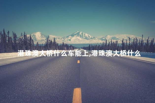 港珠澳大桥什么车能上
