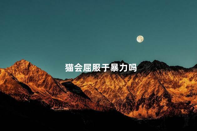 猫会屈服于暴力吗