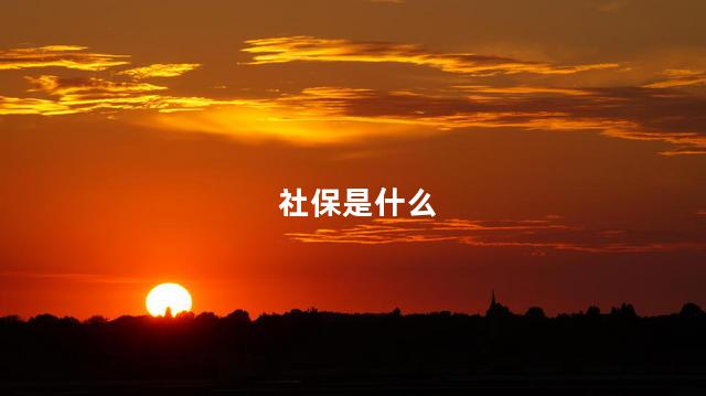 社保是什么 社保是什么