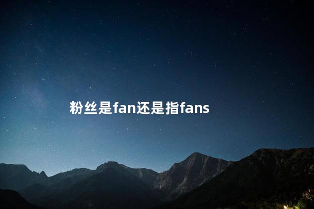 粉丝是fan还是指fans