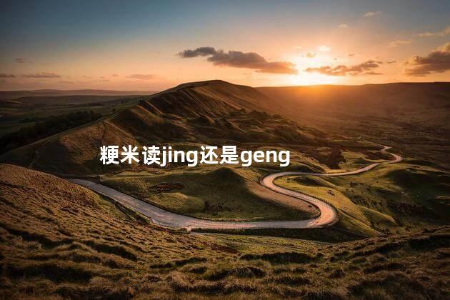 粳米读jing还是geng