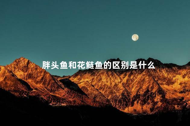 胖头鱼和花鲢鱼的区别是什么