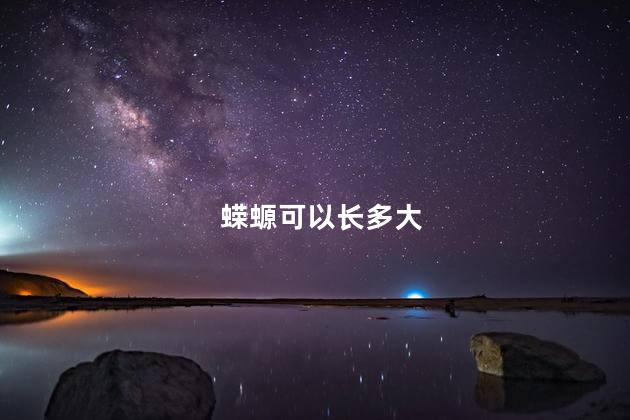 蝾螈可以长多大 蝾螈可以长多大