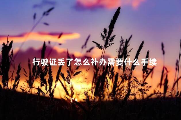 行驶证丢了怎么补办需要什么手续