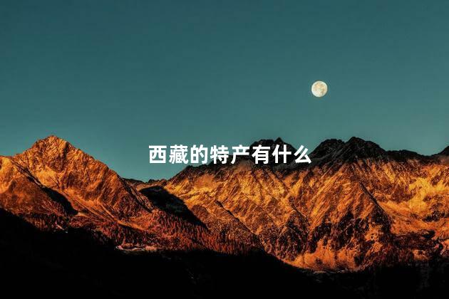 西藏的特产有什么