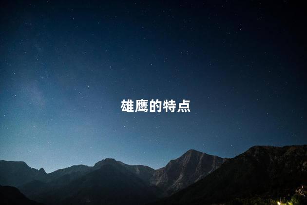 雄鹰的特点