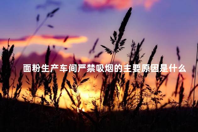 面粉生产车间严禁吸烟的主要原因是什么