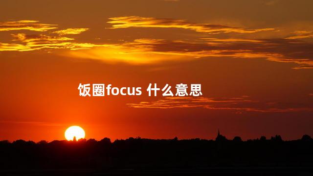 饭圈focus 什么意思