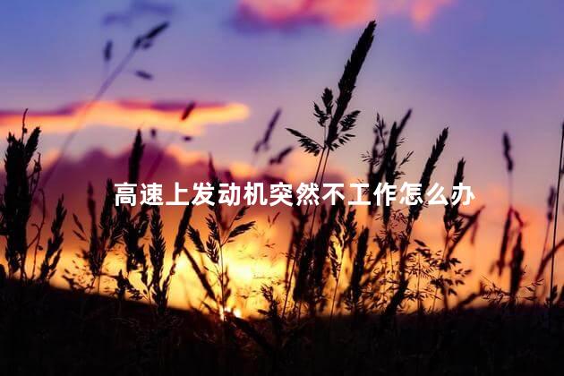 高速上发动机突然不工作怎么办