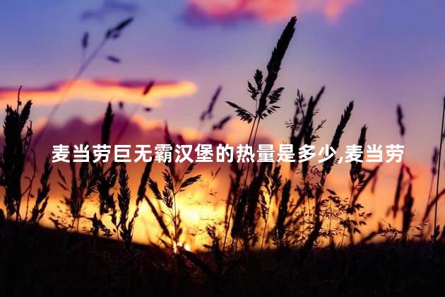 麦当劳巨无霸汉堡的热量是多少